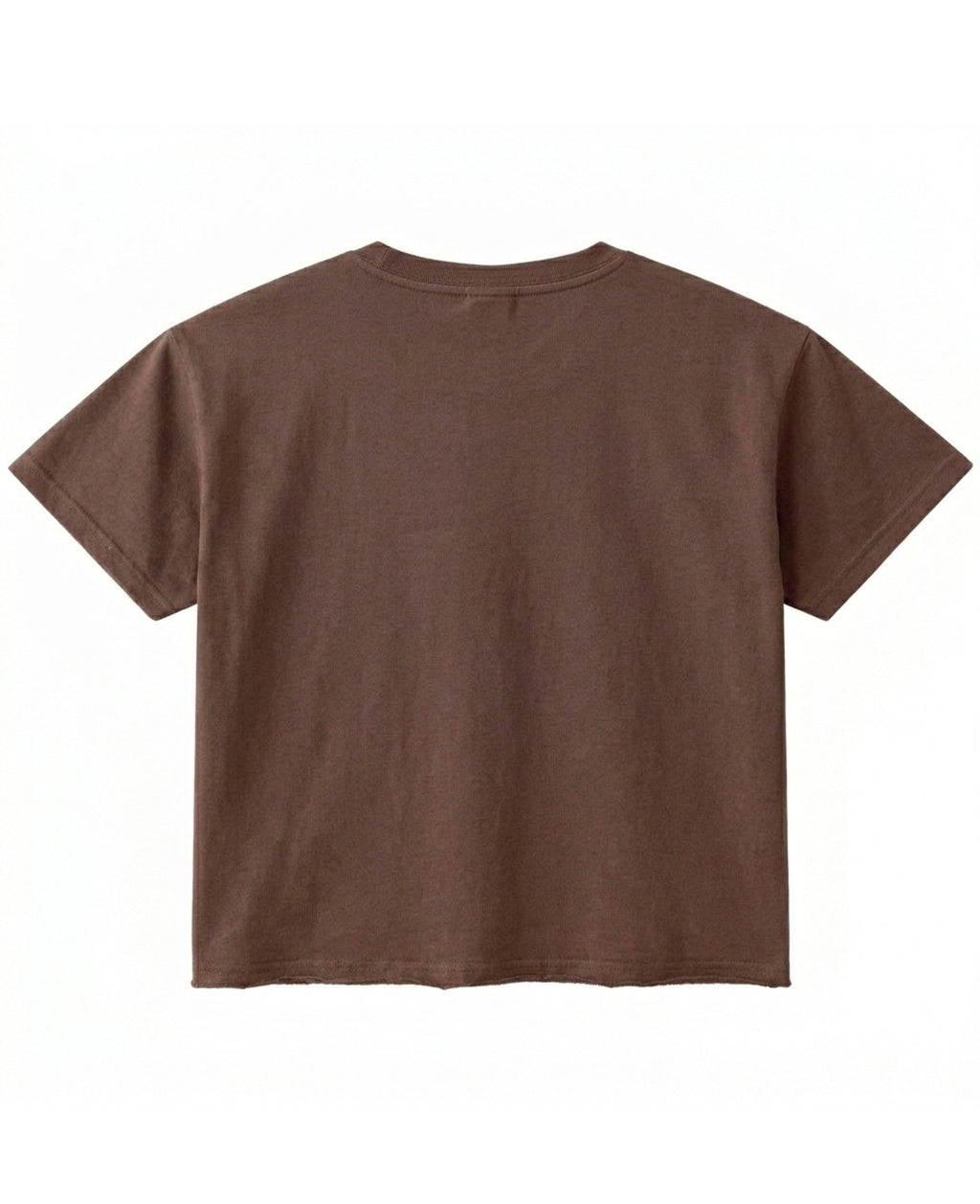 ZotRage brown boxy fit t-shirt in durable 240 GSM cotton with a textured waffle knit, back view.